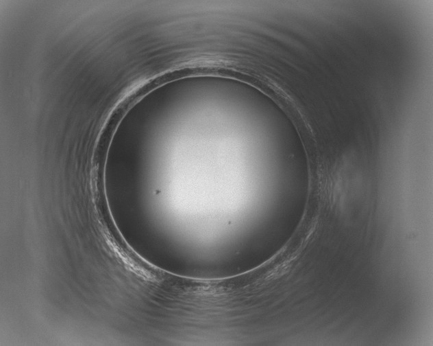X0000076411029200610161055