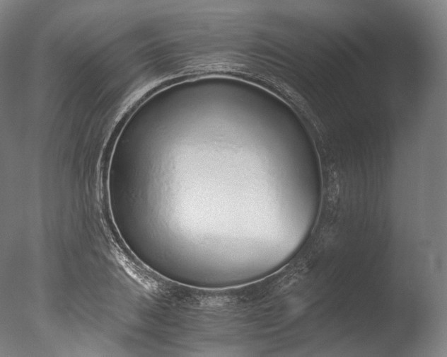 X0000076411031200610161055