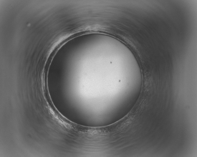 X0000076411032200610161055