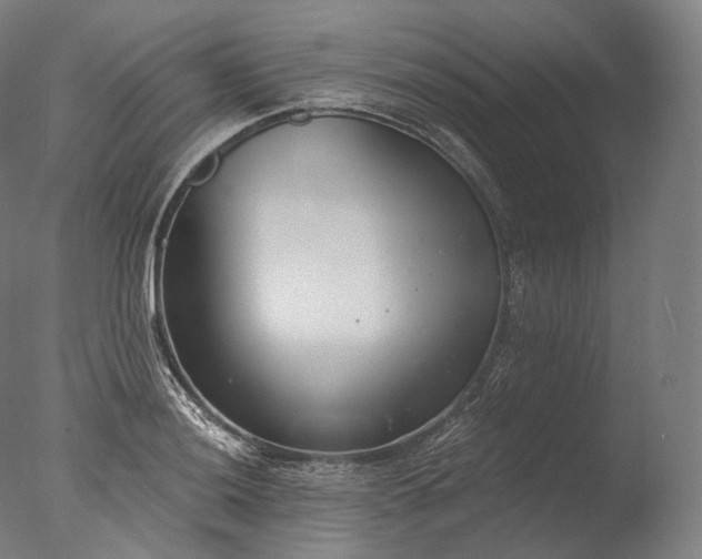 X0000076411036200610161055