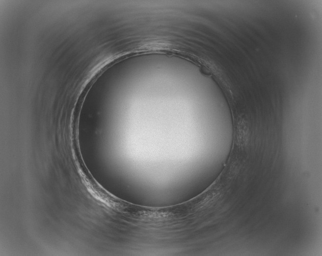 X0000076411039200610161055