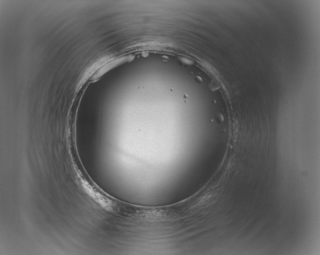 X0000076411042200610161055