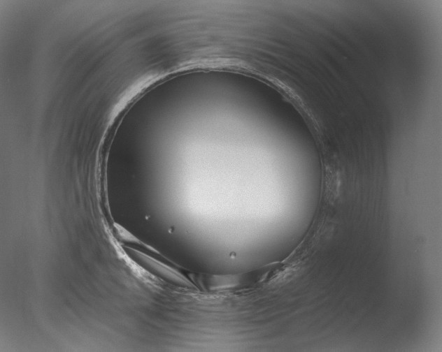 X0000076411046200610161055
