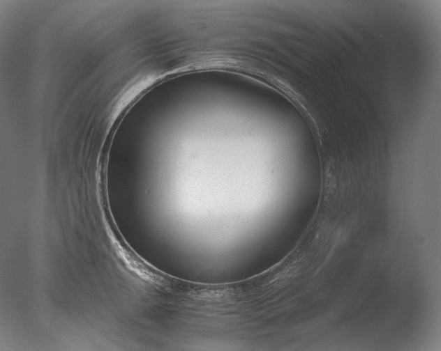 X0000076411047200610161055
