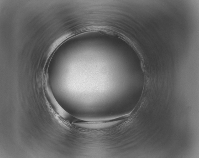 X0000076411050200610161056