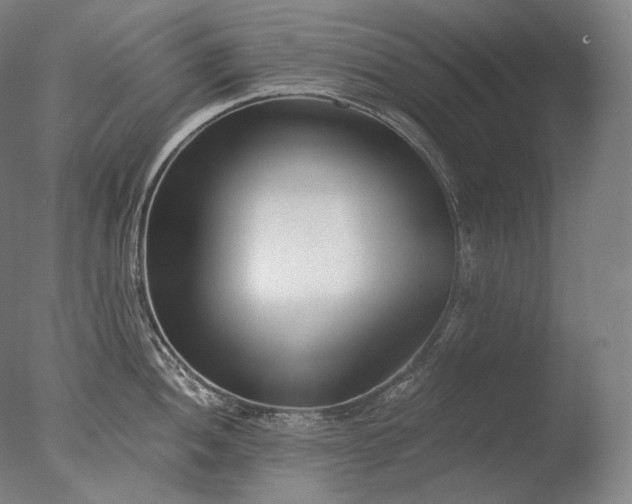 X0000076411052200610161056