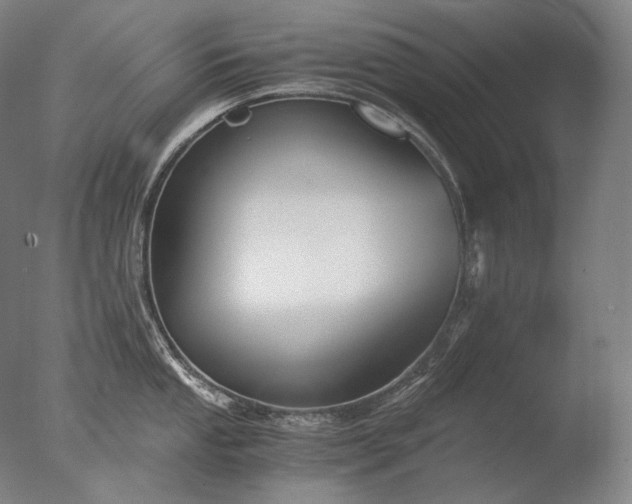 X0000076411053200610161056
