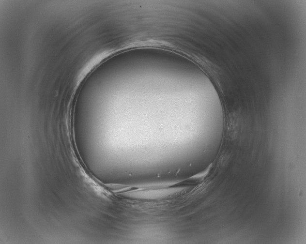 X0000076411054200610161056