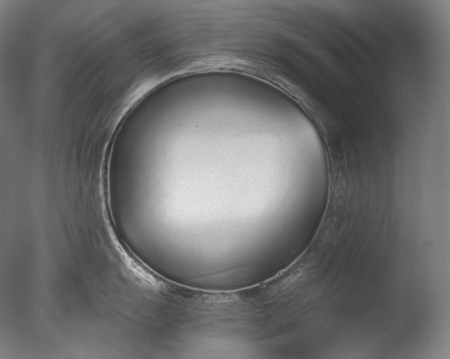X0000076411055200610161056