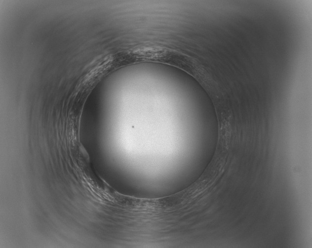 X0000076411058200610161055