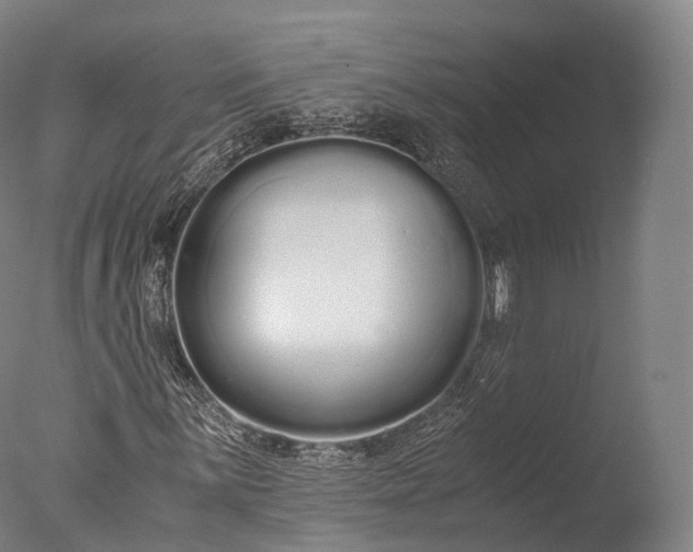 X0000076411059200610161055
