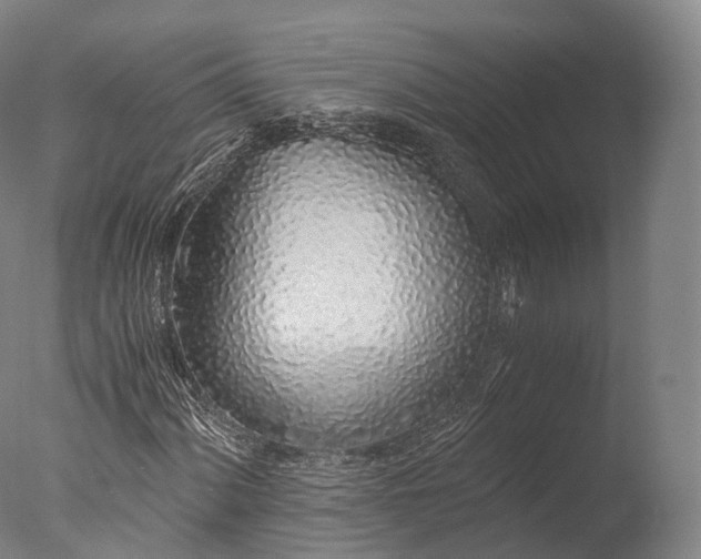 X0000076411060200610161055