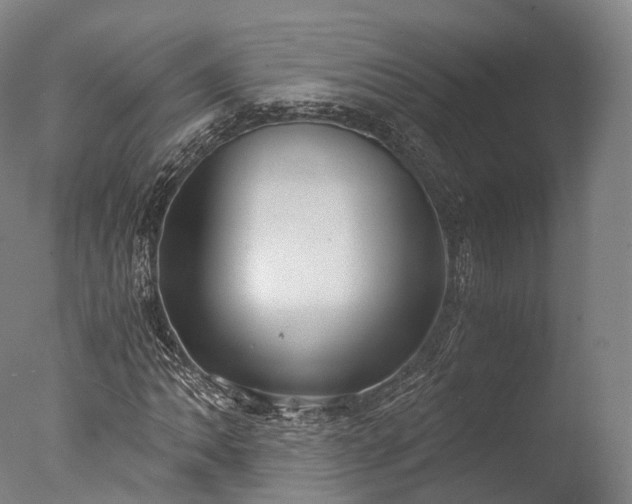 X0000076411062200610161055