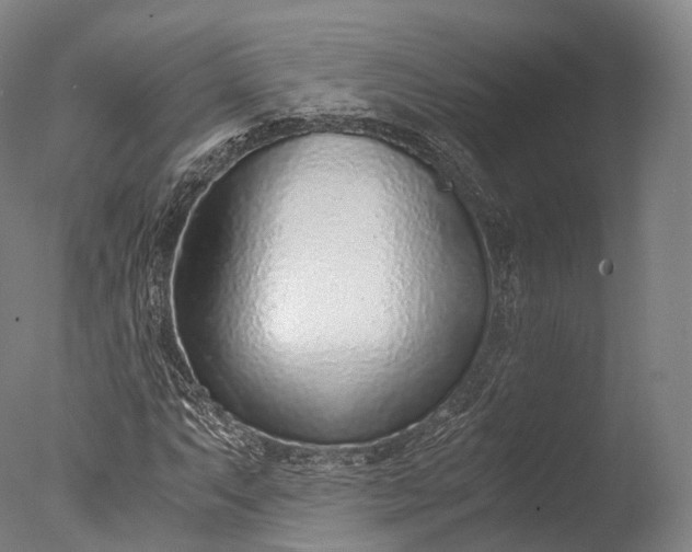 X0000076411063200610161055
