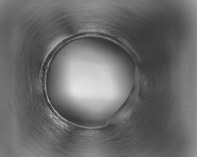 X0000076411068200610161055