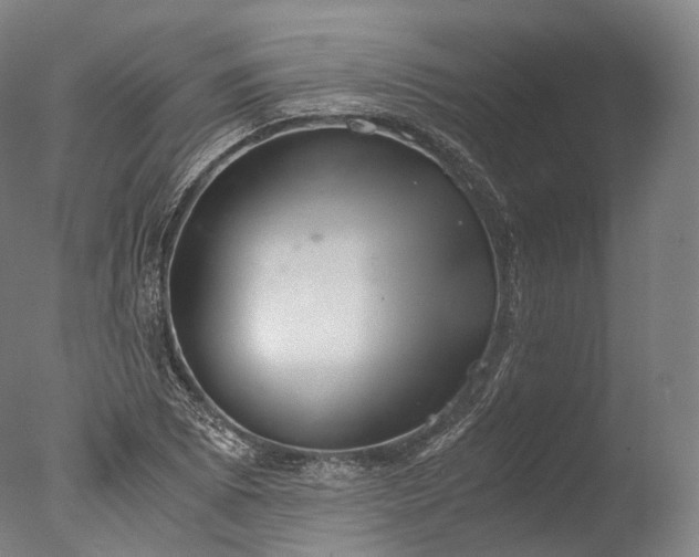 X0000076411073200610161055