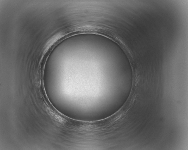 X0000076411075200610161055