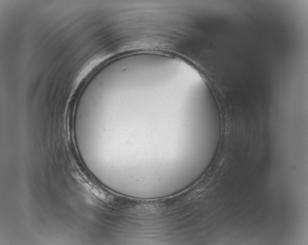 X0000076411078200610161054