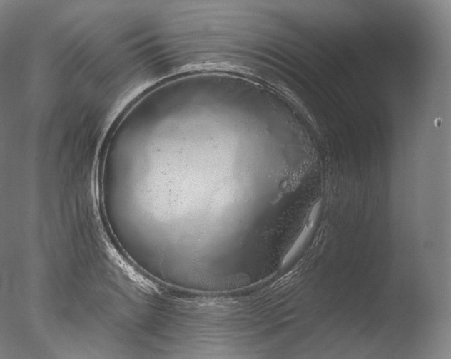X0000076411084200610161054