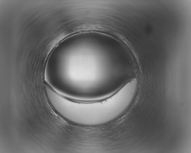 X0000076411089200610161054