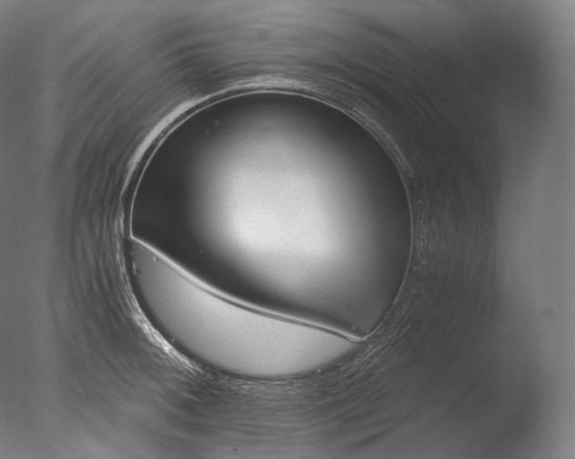 X0000076411092200610161054