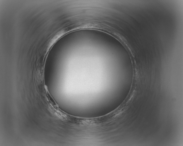 X0000076411097200610161054