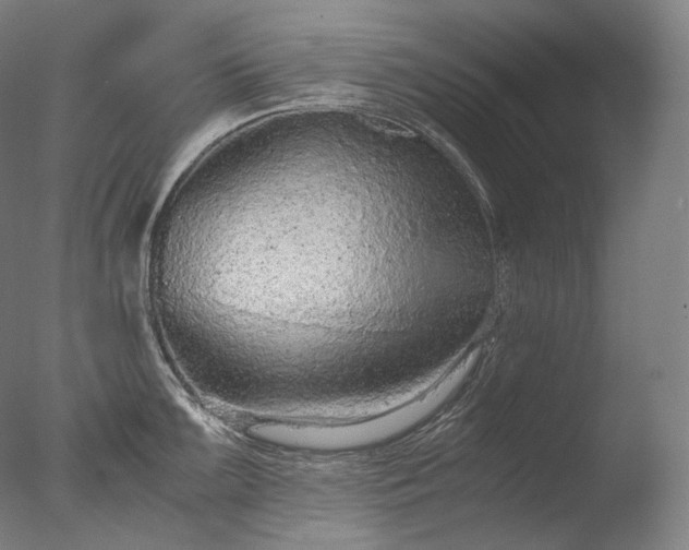 X0000076411099200610161054