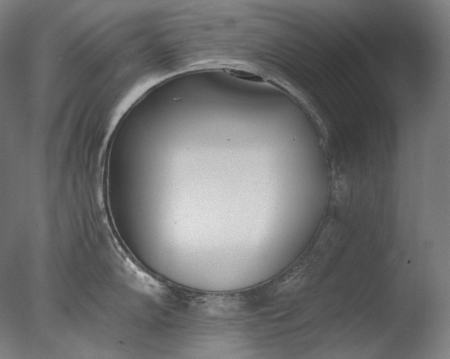X0000076411102200610161054