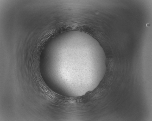 X0000076411105200610161053
