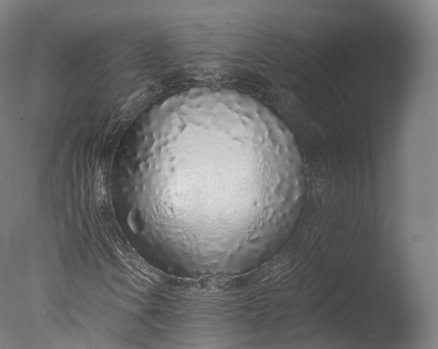 X0000076411106200610161053