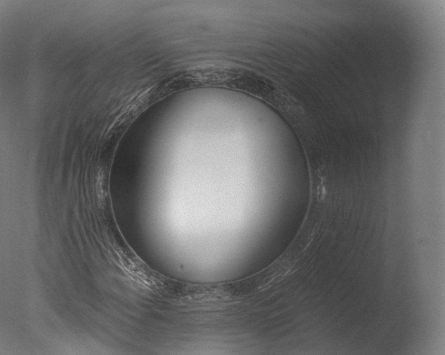 X0000076411108200610161053