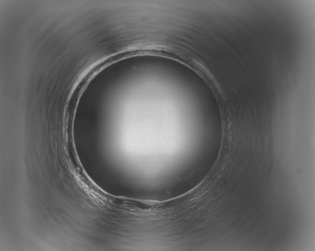 X0000076411124200610161054