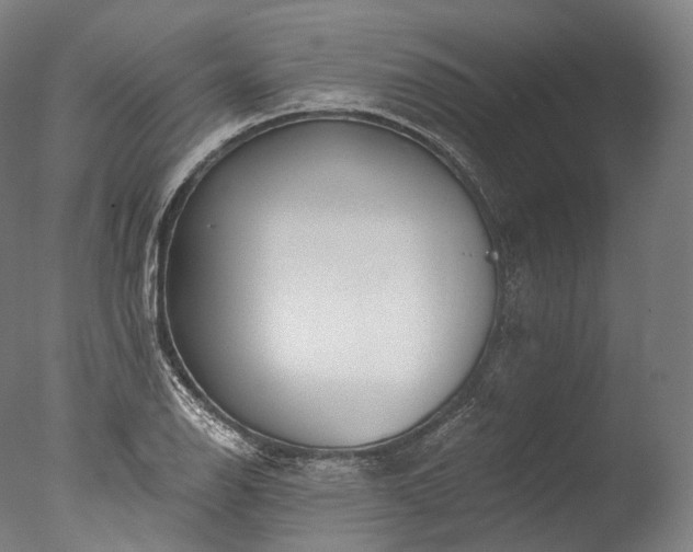 X0000076411126200610161054