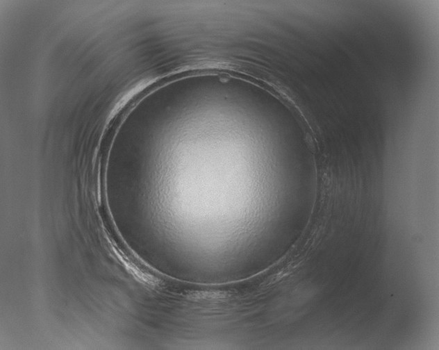 X0000076411127200610161054