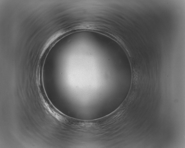 X0000076411131200610161054