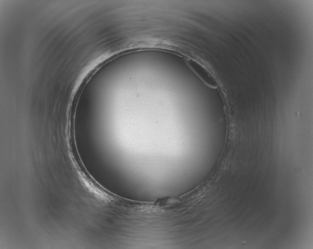X0000076411136200610161054