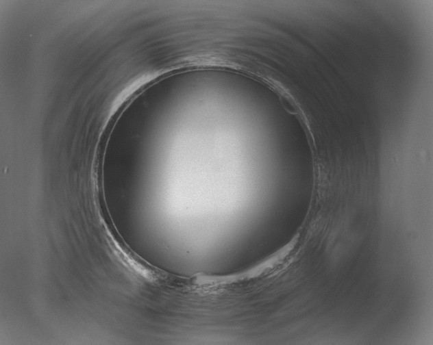 X0000076411141200610161054