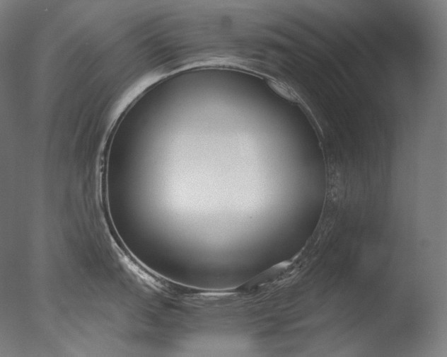 X0000076411151200610161054