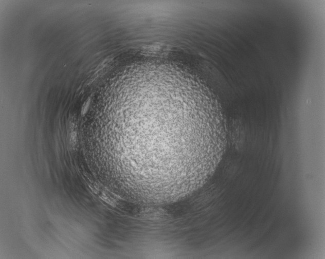 X0000076411154200610161053