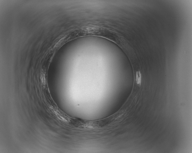 X0000076411155200610161053