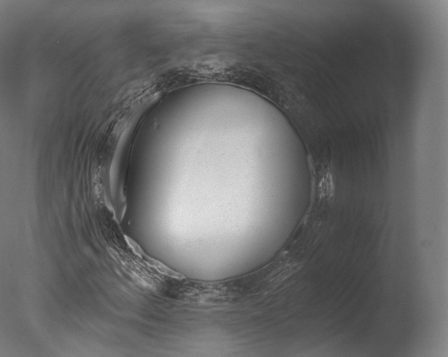 X0000076411156200610161053