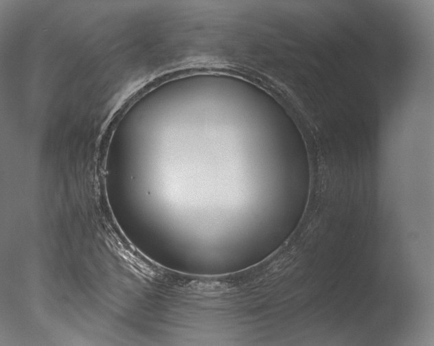 X0000076411168200610161053
