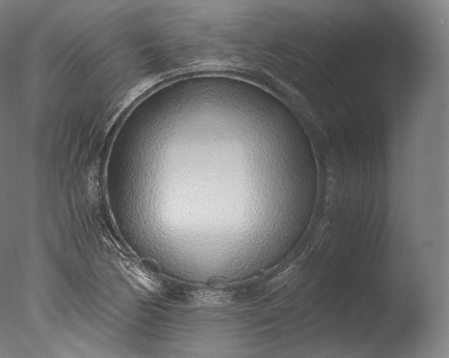 X0000076411170200610161053