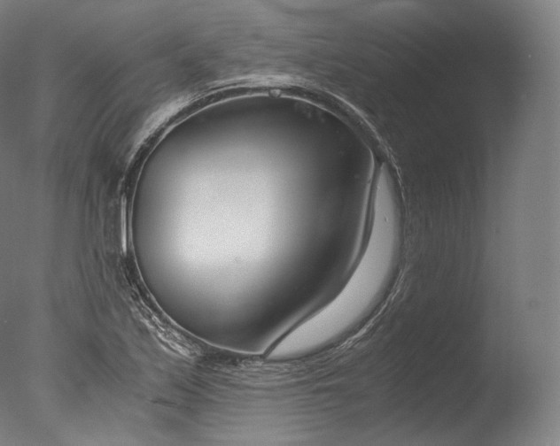 X0000076411171200610161053