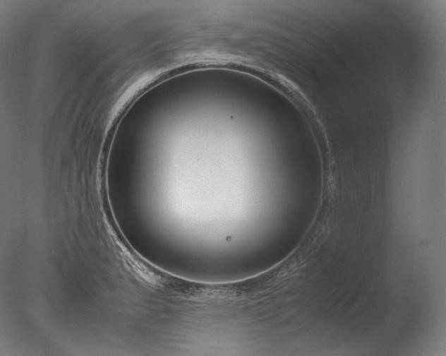 X0000076411183200610161053
