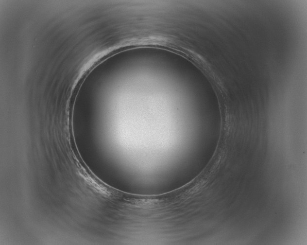 X0000076411184200610161053