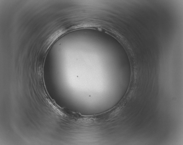 X0000076411185200610161053