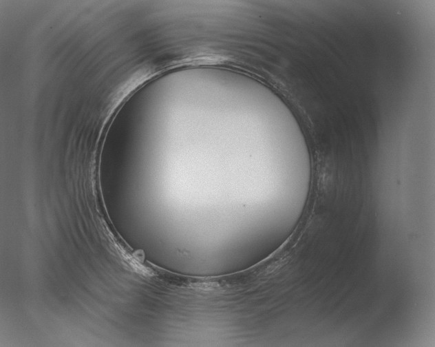 X0000076411186200610161053