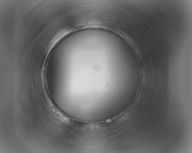 X0000076411190200610161053