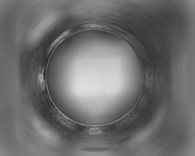 X0000076411198200610161052